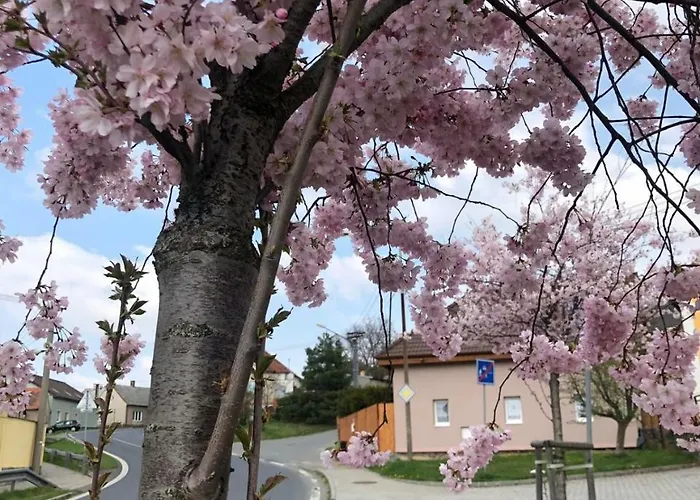 Apartmany Na Vrsku