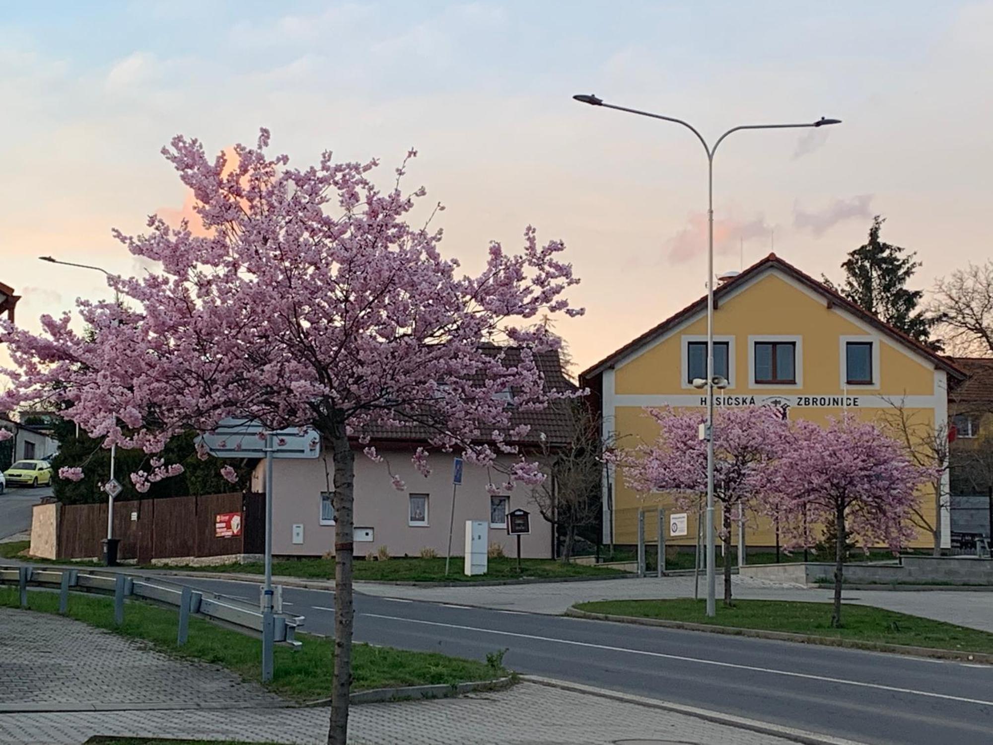 Apartment Na Vrsku Plzen