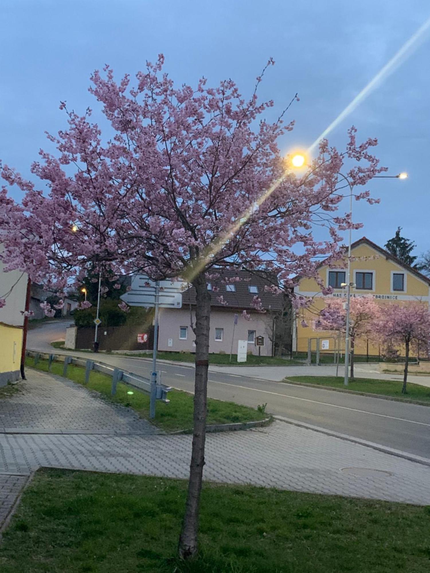 Na Vrsku Plzen