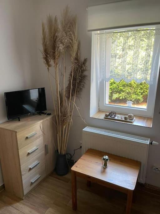 Na Vrsku Apartment Plzen