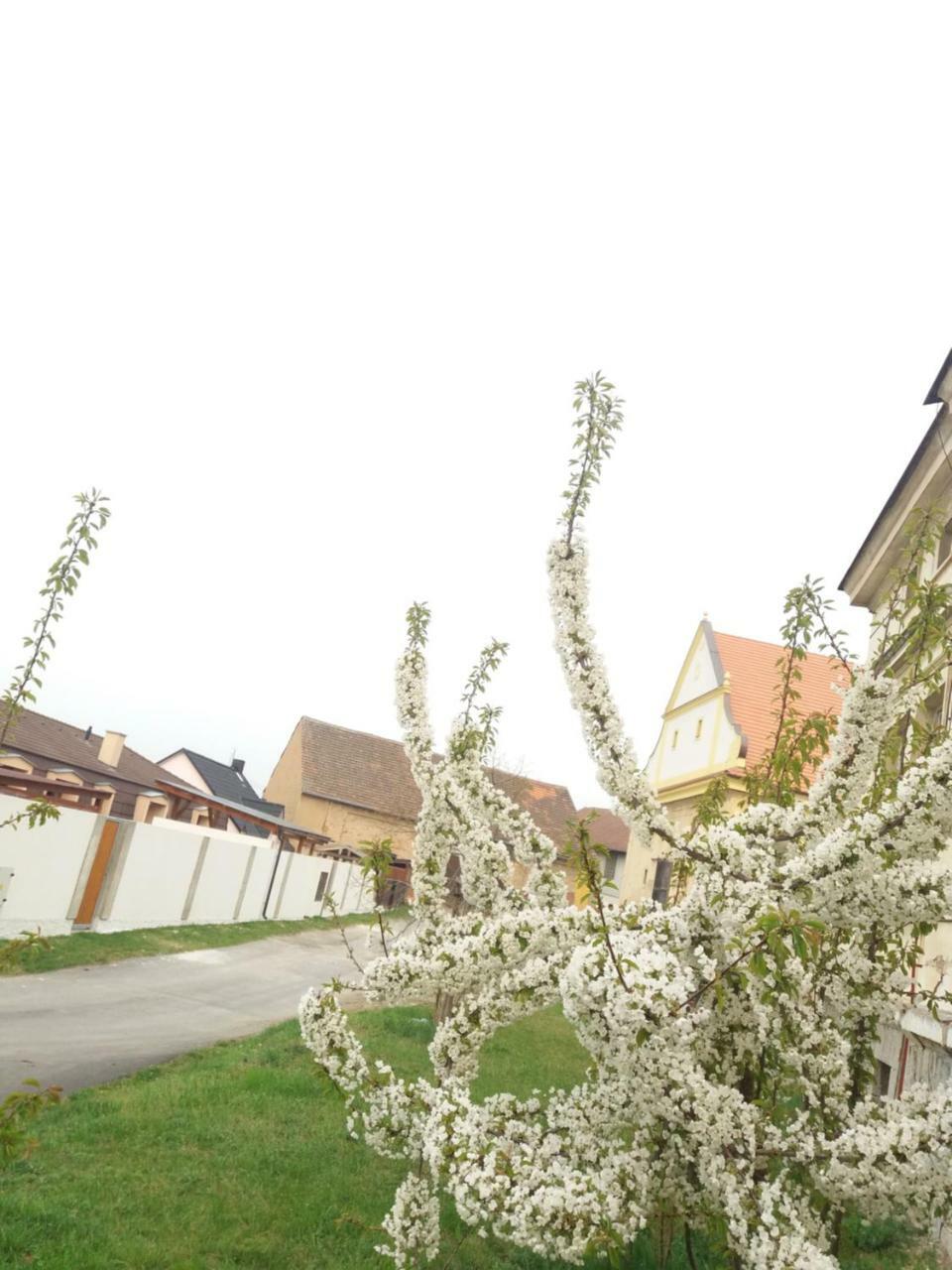 Apartment Na Vrsku
